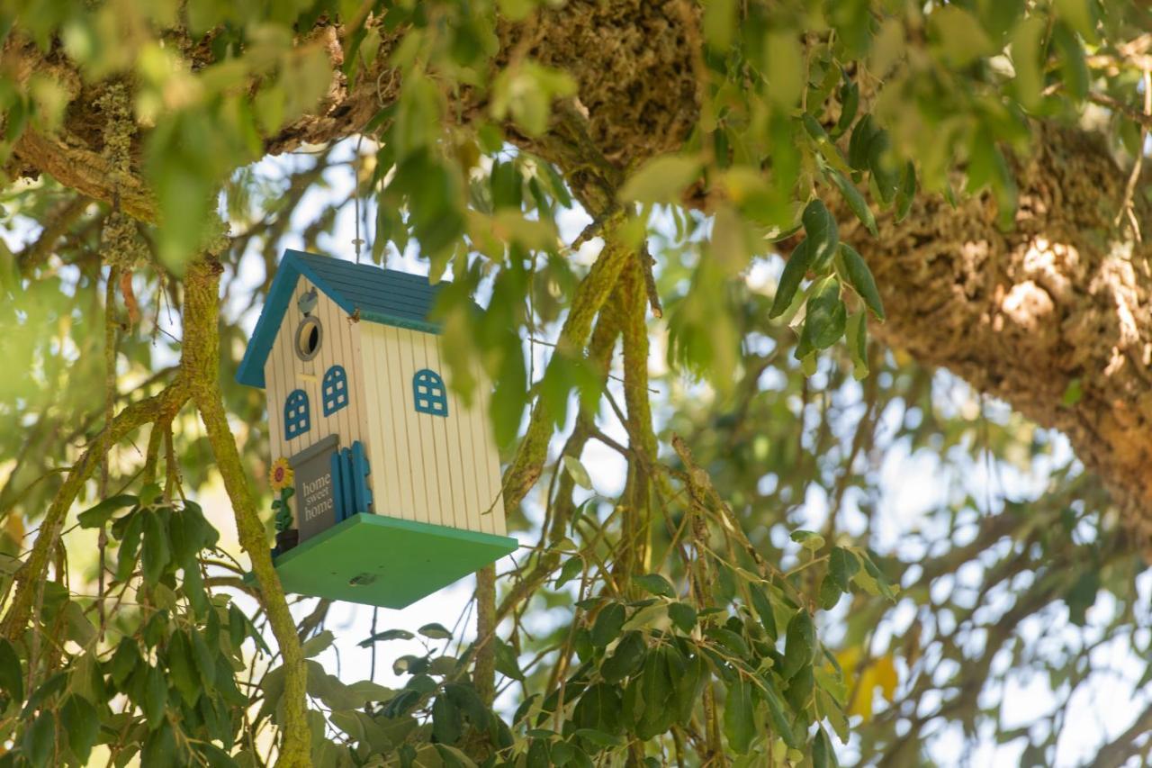 Mystay - Herdade Do Vale Da Abelheira Grândola Εξωτερικό φωτογραφία